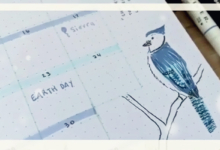 ایده طراحی بولت ژورنال با پرنده آبی